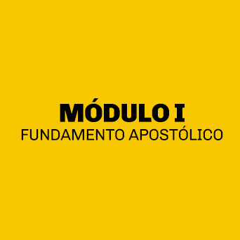 capa-modulo11